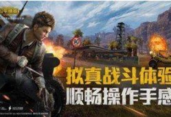 最新官方爆料和平精英,官方爆料揭示游戏新动向与未来展望